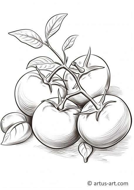 Рисунок натюрморта с помидорами
